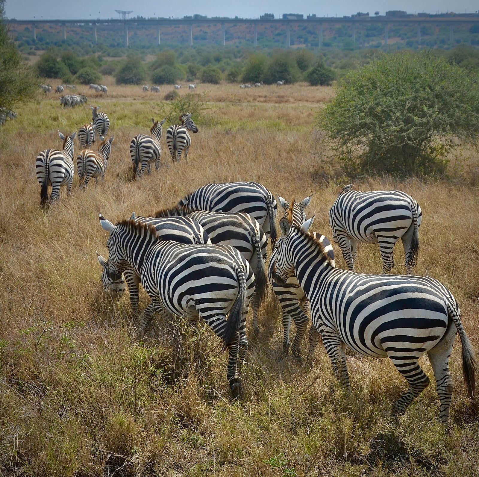 Nairobi