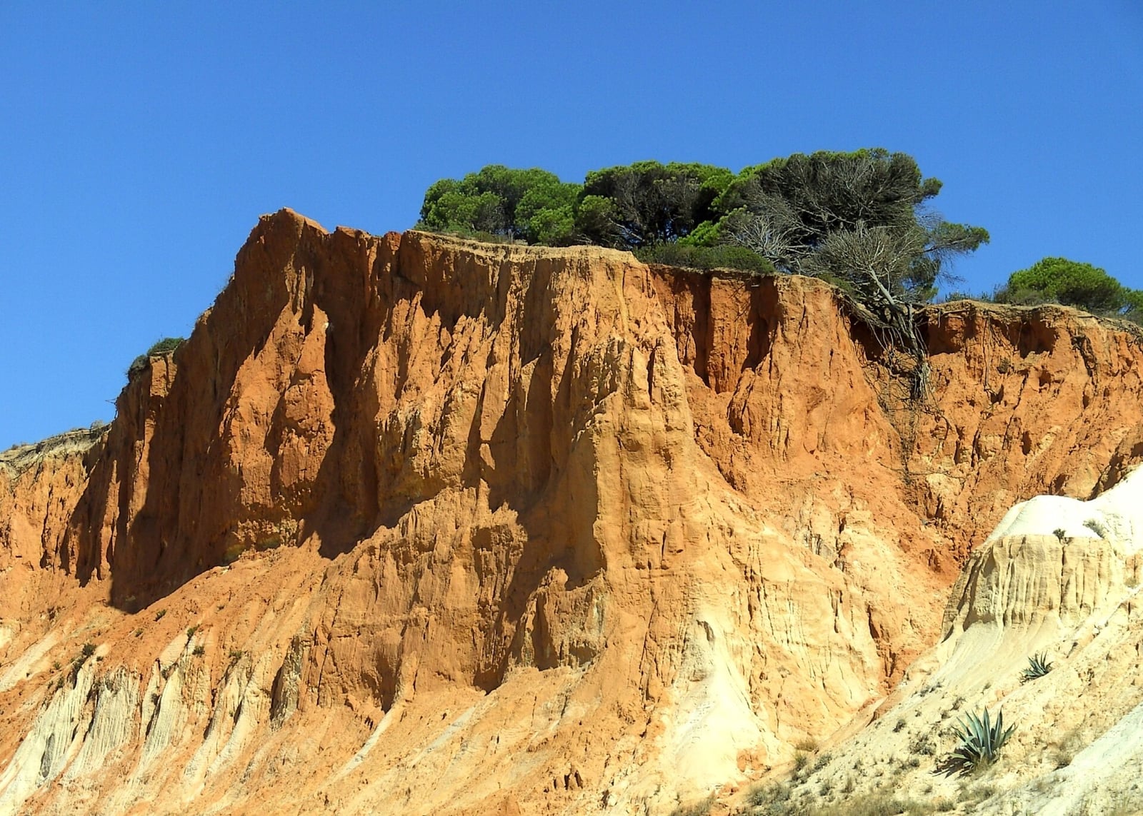 Algarve